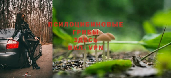 МДПВ Верея