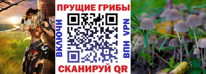 Псилоцибиновые грибы мицелий  цены   нарко площадка телеграм  Афипский 